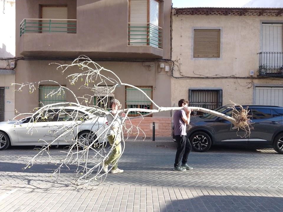 Jardinería de guerrilla