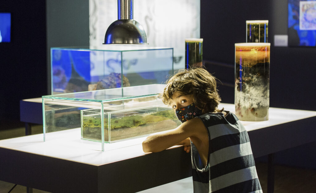 Exposición “Ciencia fricción. Vida entre especies compañeras”